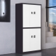 double section password cabinet